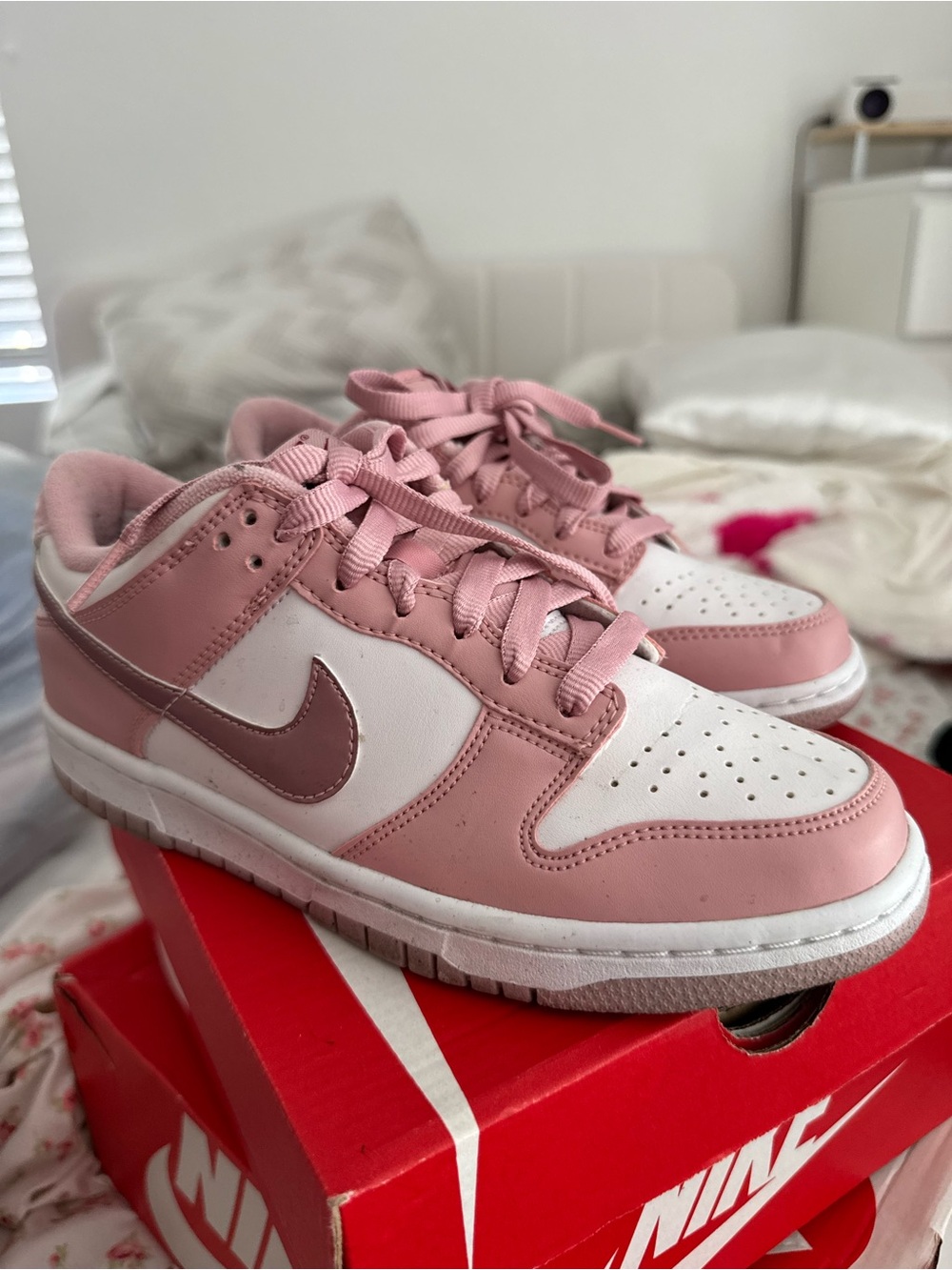 Nike Low-Top Sneakers in Pink and White with Rose Swoosh